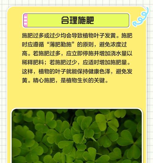 植物叶子发黄应该采取哪些措施？
