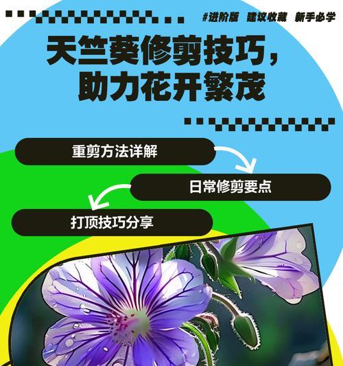 怎样防止天竺葵过度生长？有哪些控制技巧？