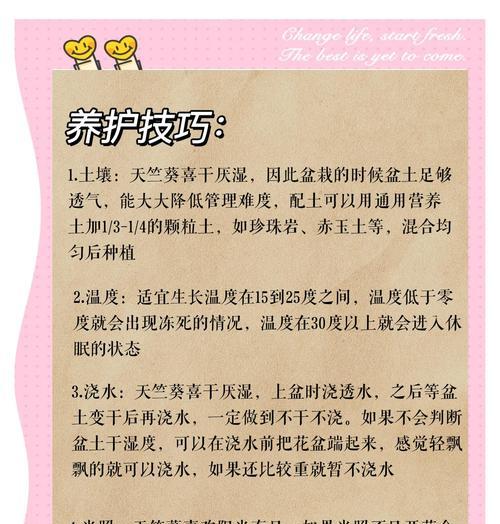 怎样防止天竺葵过度生长？有哪些控制技巧？