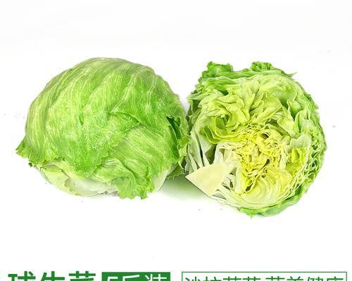 汉堡叶子发黄应如何处理？