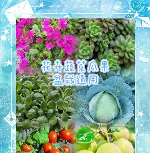 自制发酵花肥的方法是什么？