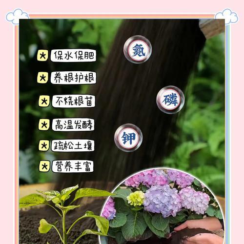 自制发酵花肥的方法是什么？
