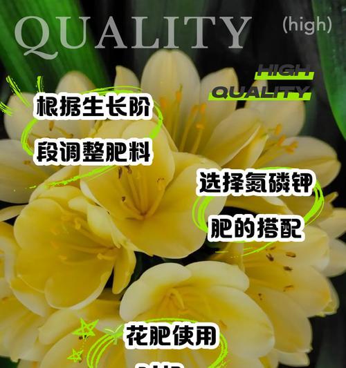 君子兰养护用什么颗粒肥料？