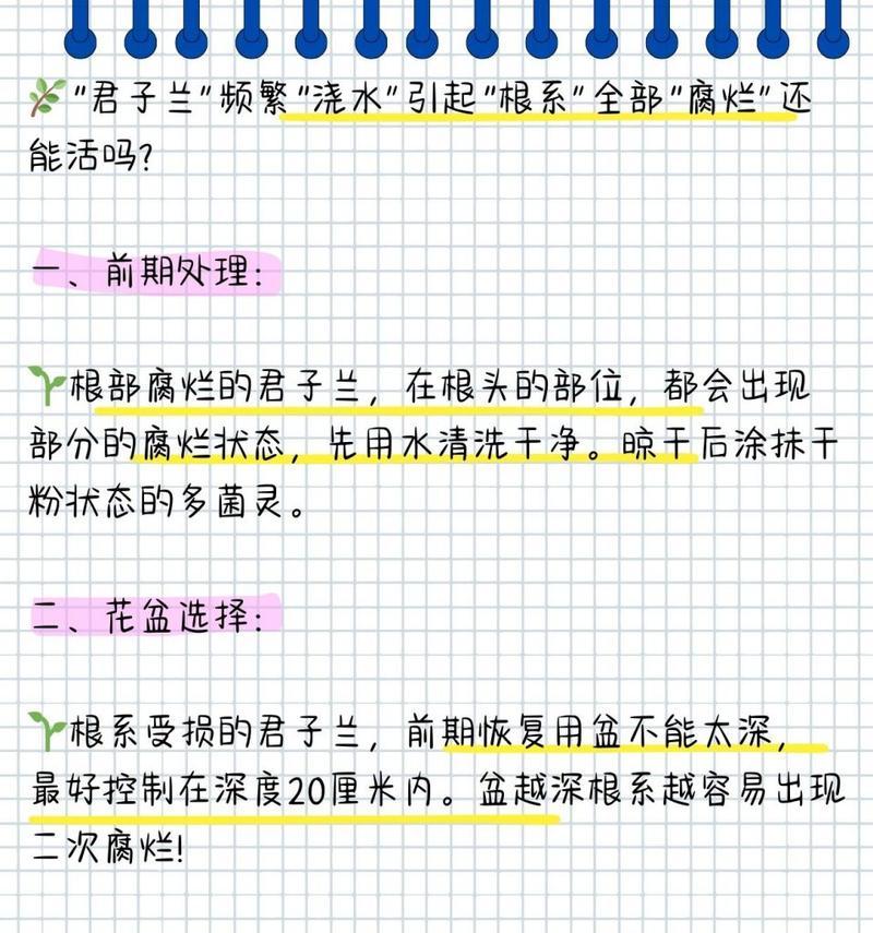 君子兰严重烂根的挽救方法是什么？