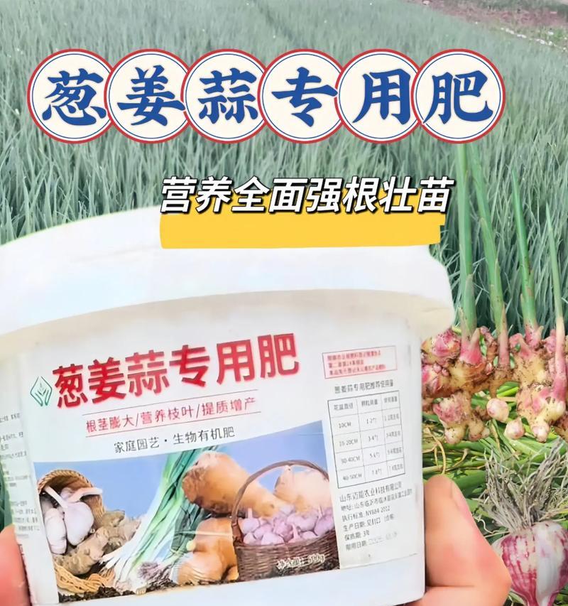 自制生蒜瓣肥料的方法和好处是什么？