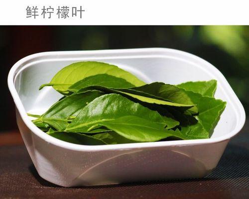 烹饪中常用的香草植物有哪些？