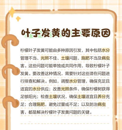 植物叶子茎脉发黄？可能的原因及处理方法是什么？