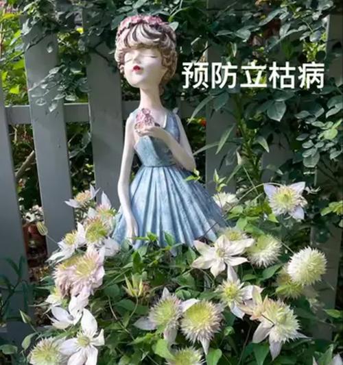 铁线莲冬天枝条干枯的应对措施是什么？