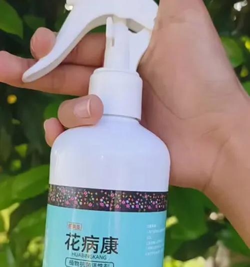 月季花掐尖打理技巧是什么？如何促进新芽生长？