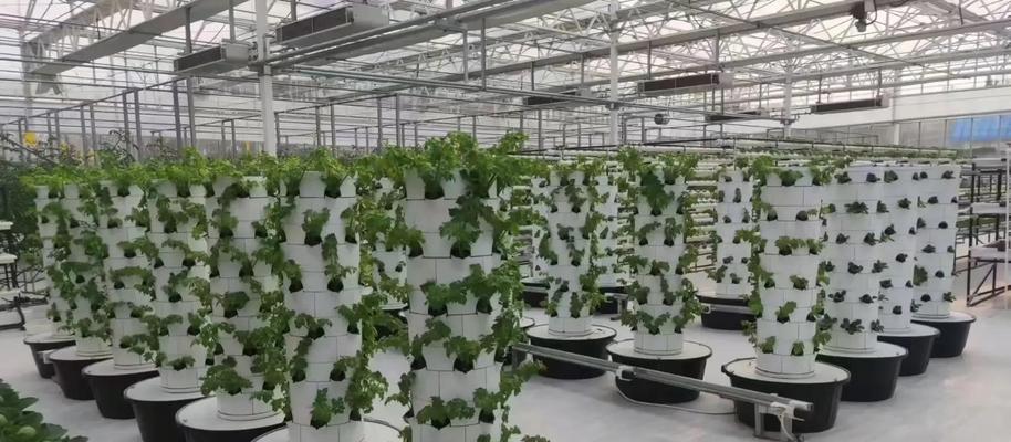 蔬菜立体循环栽培技术有哪些？如何应用？
