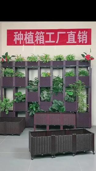 奇仙玉栽培的关键技术和注意事项？