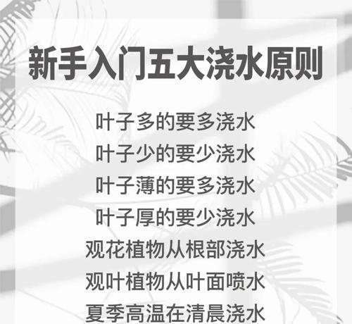 小豆豆植物的正确浇水方法是什么？