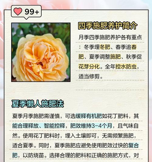 月季施肥减少盲芽的方法是什么？