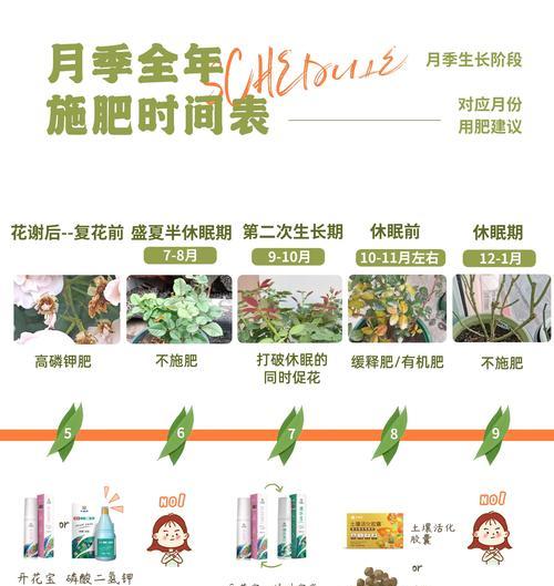 月季施肥减少盲芽的方法是什么？