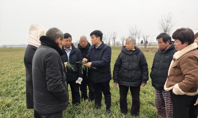 红杨浇水的正确方法有哪些？