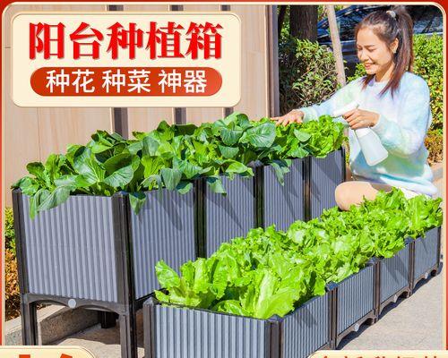 自制白炭肥料的步骤和注意事项是什么？