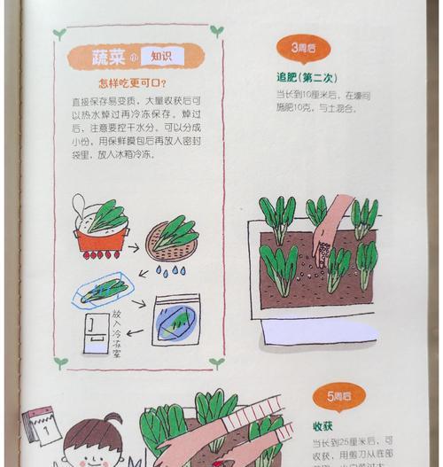 白菜浇水有哪些正确的方法？