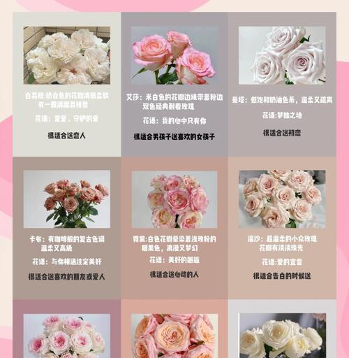 玫瑰花养护的实用技巧和知识是什么？