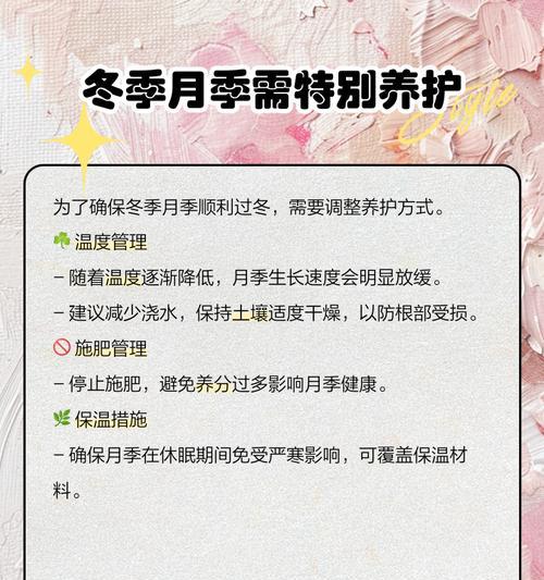 南方冬天月季如何过冬？地栽月季的冬季管理技巧是什么？