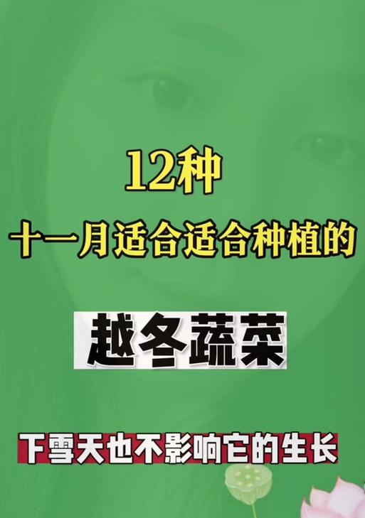 河南秋葵的最佳播种时间是什么时候？播种过程中应注意什么？