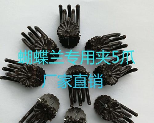 铁线莲塑料夹子的养护方法是什么？