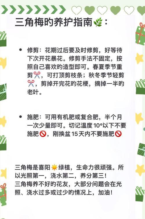 三角梅是否需要松鳞？养护方法是什么？