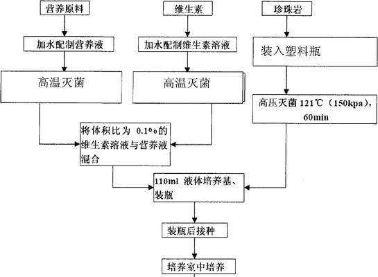 金针菇的优质栽培技术是什么？