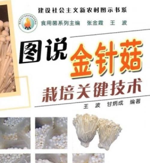 金针菇的优质栽培技术是什么？