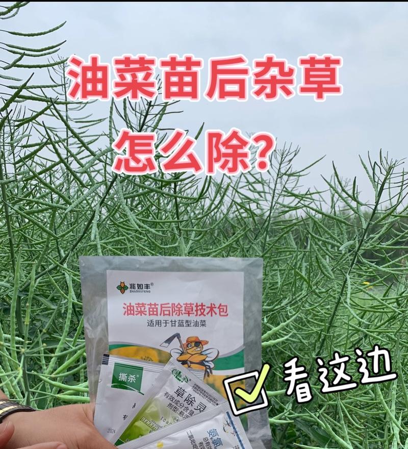 天天翻田适合播种什么？有哪些推荐？