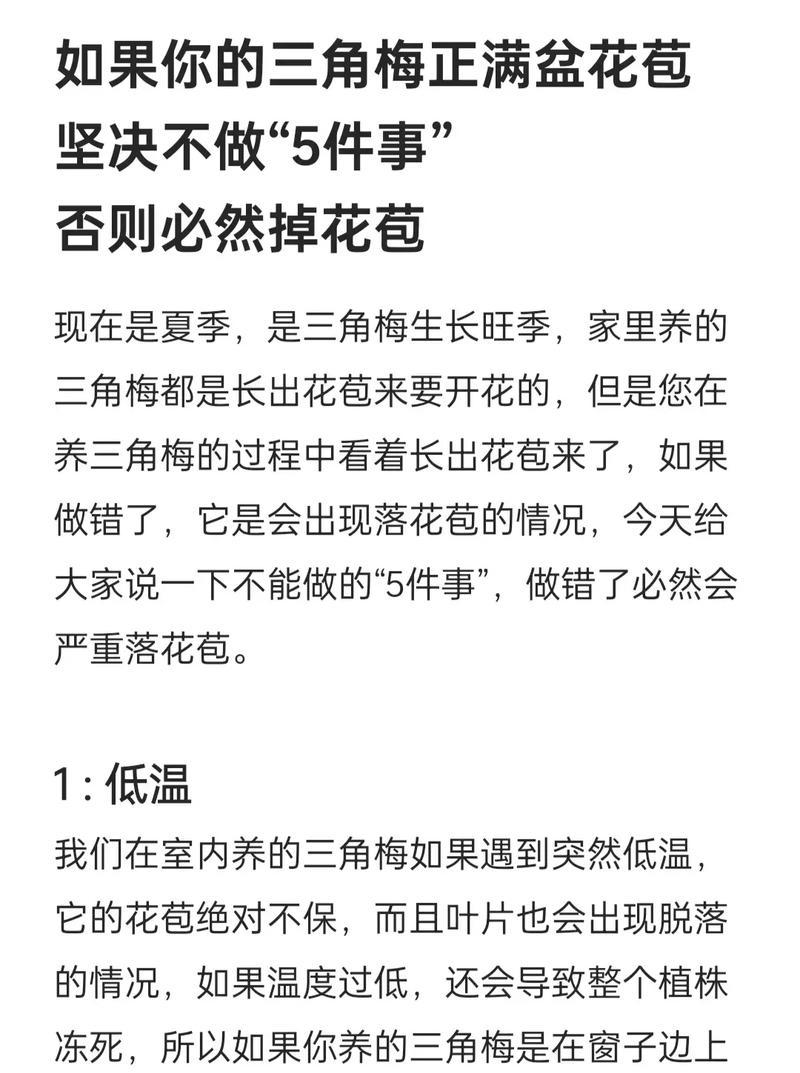 三角梅夏天如何养护才能开花？有效方法有哪些？