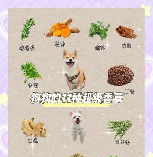 香草干品有哪些常见品种？这些品种的香草干品有何特点？