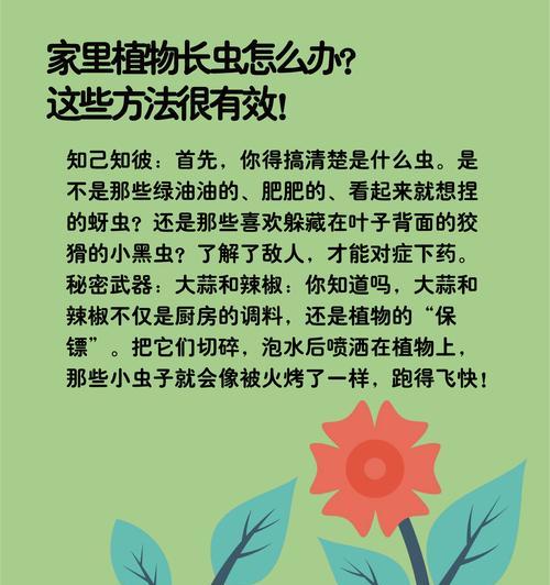 盆景的蚜虫怎么来的？如何预防和处理盆景的蚜虫问题？