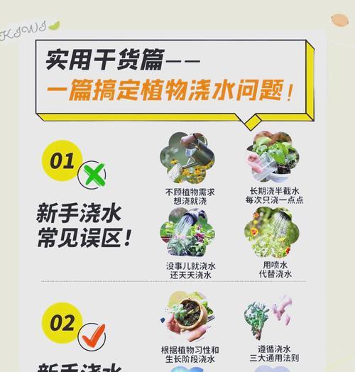 新手养花有哪些技巧？