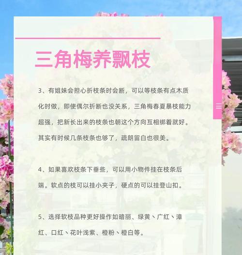 三角梅飘逸过度如何调整？