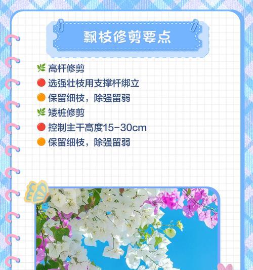 三角梅飘逸过度如何调整？