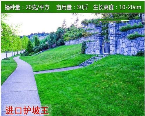 草坪种子播种方法有哪些？播种时应注意哪些要点？