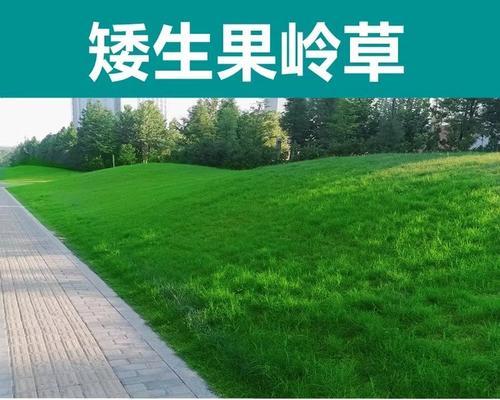 草坪种子播种方法有哪些？播种时应注意哪些要点？