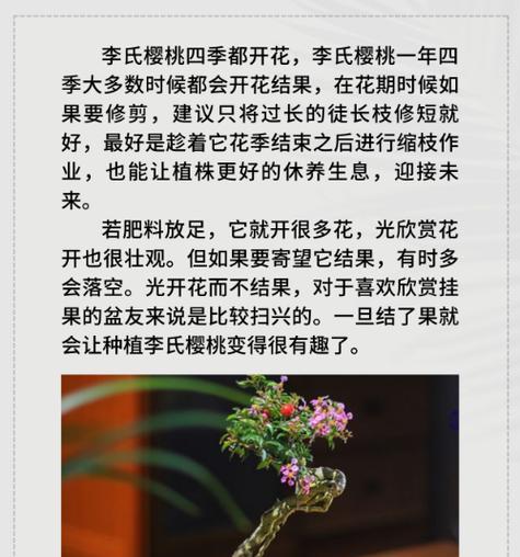 三角梅嫩枝缩枝怎么办？如何处理三角梅的嫩枝缩枝问题？
