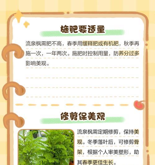 流泉枫叶子边缘发黄的补救措施有哪些？