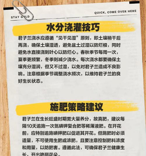 君子兰养护时如何预防病害？