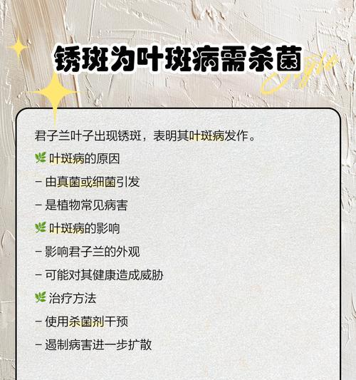 君子兰养护时如何预防病害？