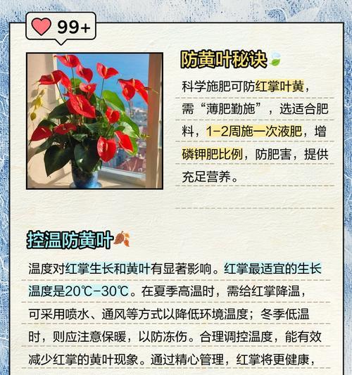植物叶子发黄掉花蕊的原因？如何解决植物叶子发黄掉花蕊问题？