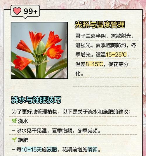 君子兰被养残了怎么办？如何进行抢救？