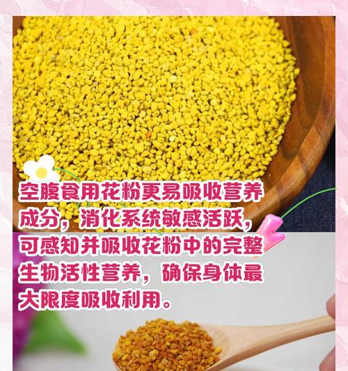 君子兰授粉时如何选择最佳花粉？