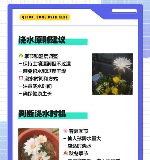 如何实现无人在家时自动给花浇水？