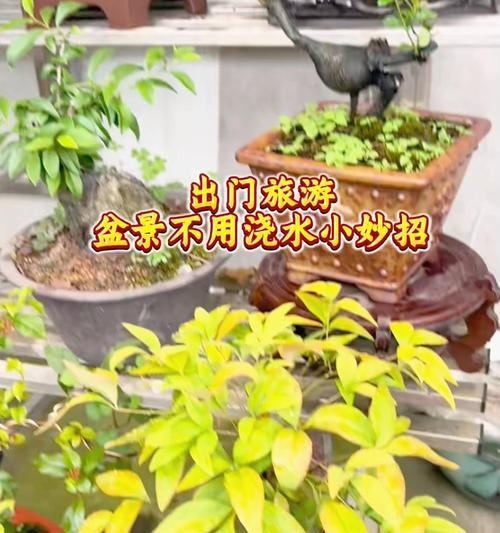 如何实现无人在家时自动给花浇水？