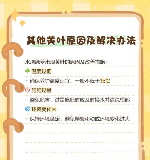 绿萝叶子边缘发黄的原因及处理方法是什么？