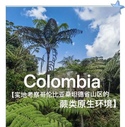 蕨类是原生植物吗？为什么它们被认为是自然界的活化石？