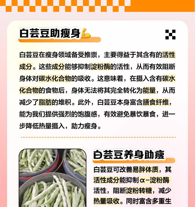 芸豆栽培技术要点有哪些？