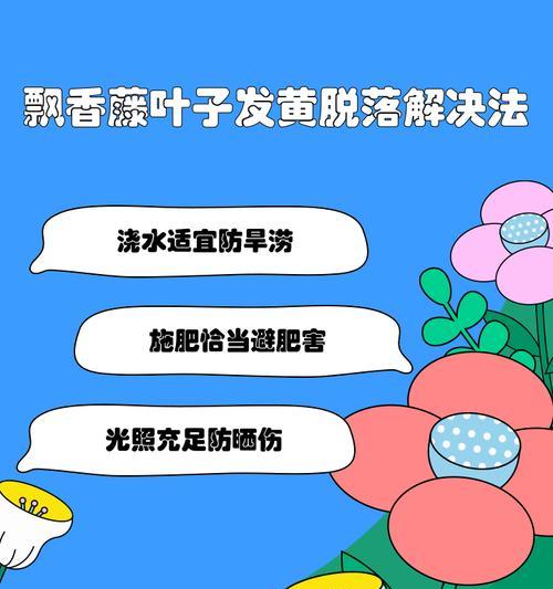 香木树叶子发黄掉叶的原因及解决方法是什么？